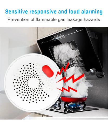 LiavaiL™ Smart Gas Sensor